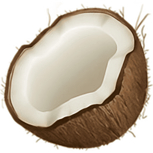 Coconote logo
